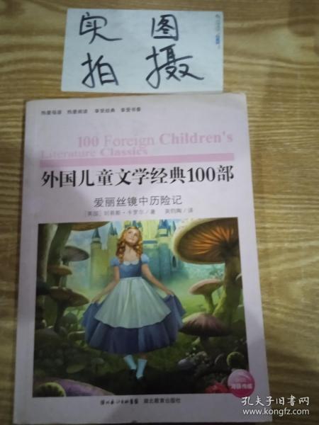 外国儿童文学经典书系:爱丽丝镜中历险记