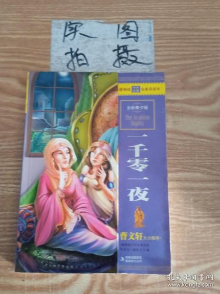 最畅销中外名著名家导读本：一千零一夜