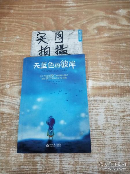 天蓝色的彼岸：关于生命和死亡最深刻的寓言