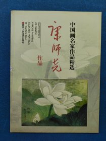 中國畫名家作品精選 康師堯