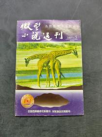 微型小说选刊2007