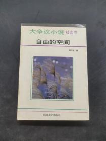 大争议小说社会卷 自由的空间