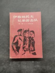 伊格纳托夫兄弟游击队