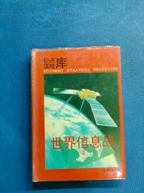 世界信息戰(zhàn) 上
