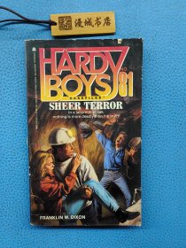 THE HARDY BOYS CASEFILES