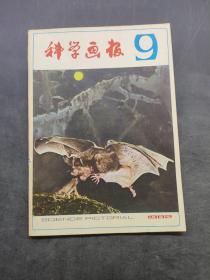 科学画报9