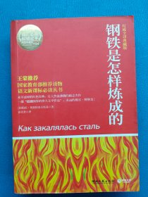 鋼鐵是怎樣煉成的