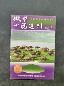 微型小说选刊2007