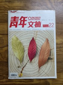 青年文摘2012年第22期