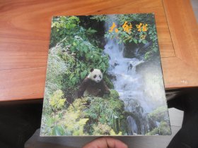彩色画册--大熊猫(英文) 1984年