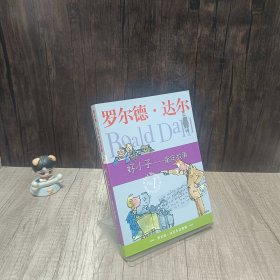 好小子-童年故事：罗尔德·达尔作品典藏