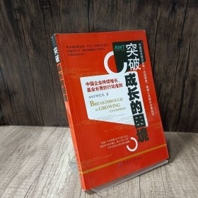 突破成长的困境：再造成长型企业持续增长