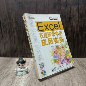 Excel 在经济学中的应用实务