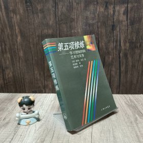 第五项修炼：学习型组织的艺术与实务