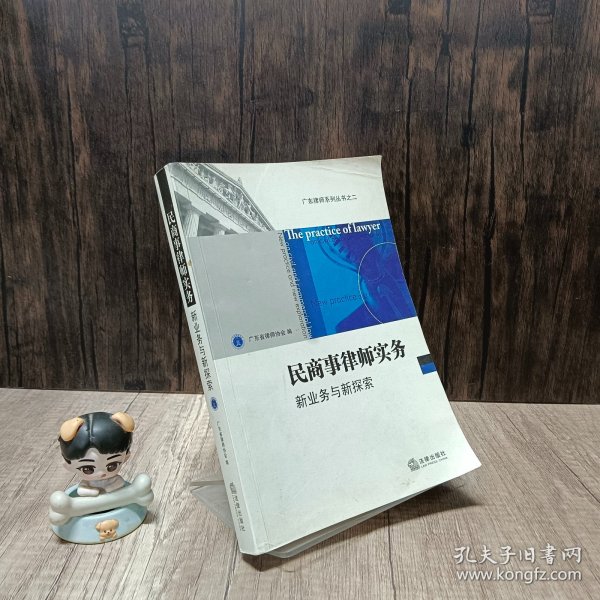 广东律师系列丛书·民商事律师实务：新业务与新探索