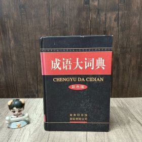 成语大词典：彩色版