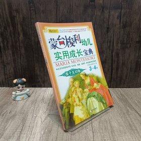 蒙台梭利幼儿实用成长宝典：亲子互动版（5～6岁）