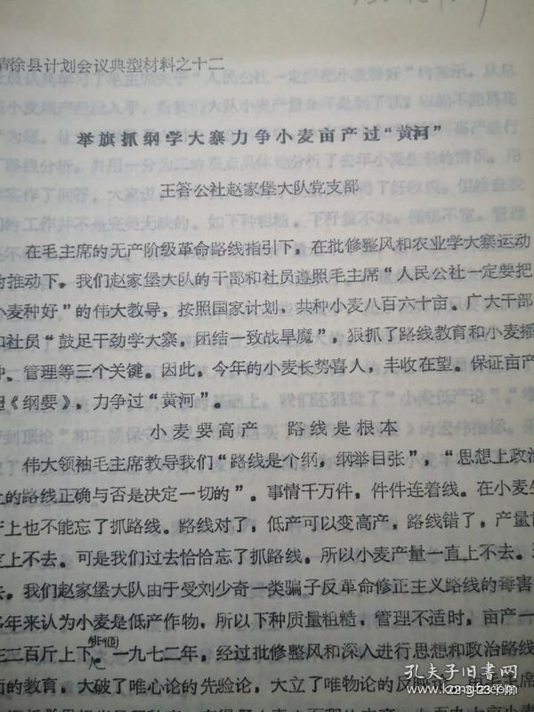 举旗抓纲学大寨力争小麦亩产过黄河