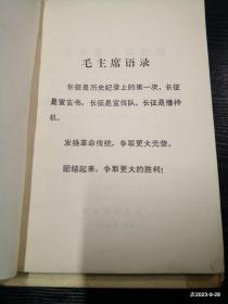 长征路上花烂漫