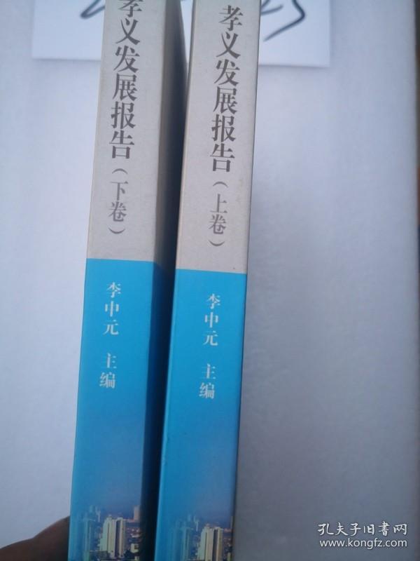 孝义发展报告（上、下卷）