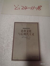 消费文化与后现代主义