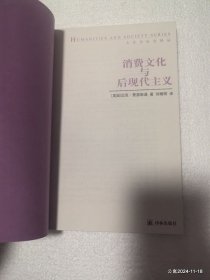 消费文化与后现代主义