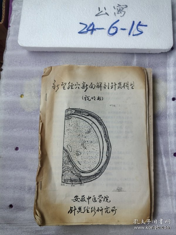 新型经穴断面解剖针灸模型说明书