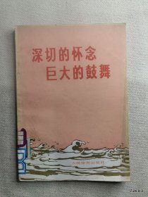 深切的怀念巨大的鼓舞 :