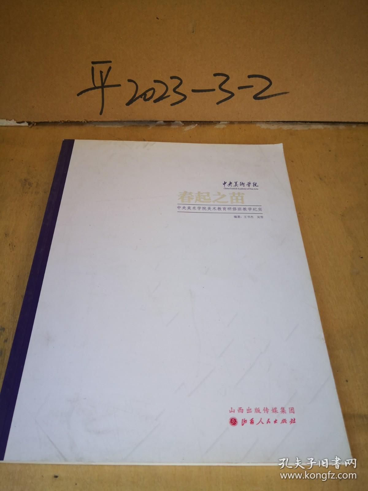 春起之苗:中央美术学院美术教育研修班教学纪实