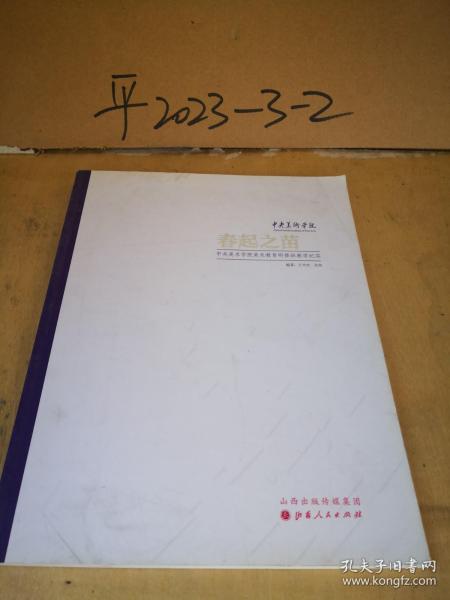 春起之苗:中央美术学院美术教育研修班教学纪实