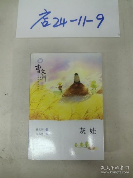 曹文轩小说阅读与鉴赏：灰娃