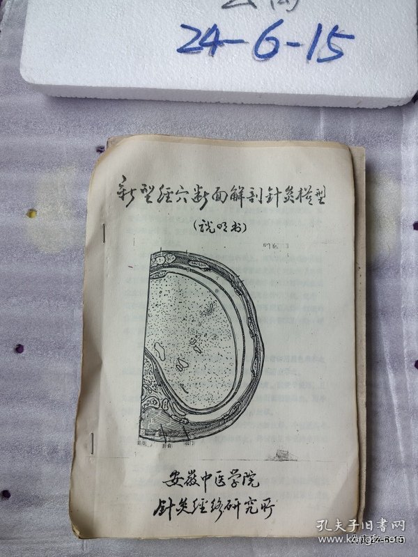 新型经穴断面解剖针灸模型说明书