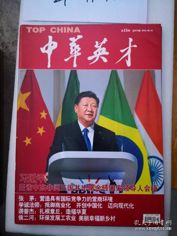中华英才2018年第15期