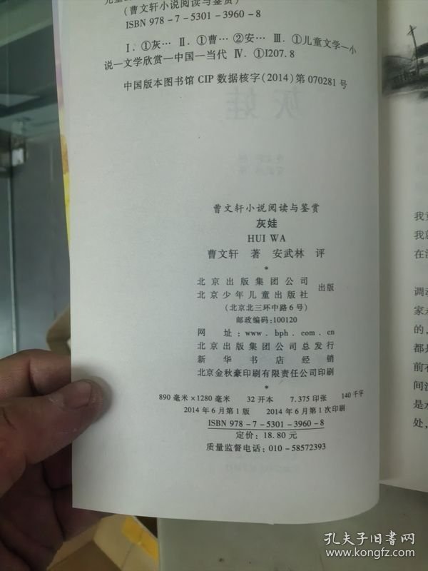 曹文轩小说阅读与鉴赏：灰娃