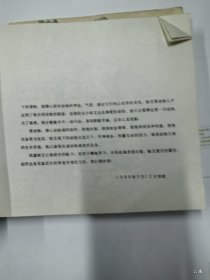 动物画