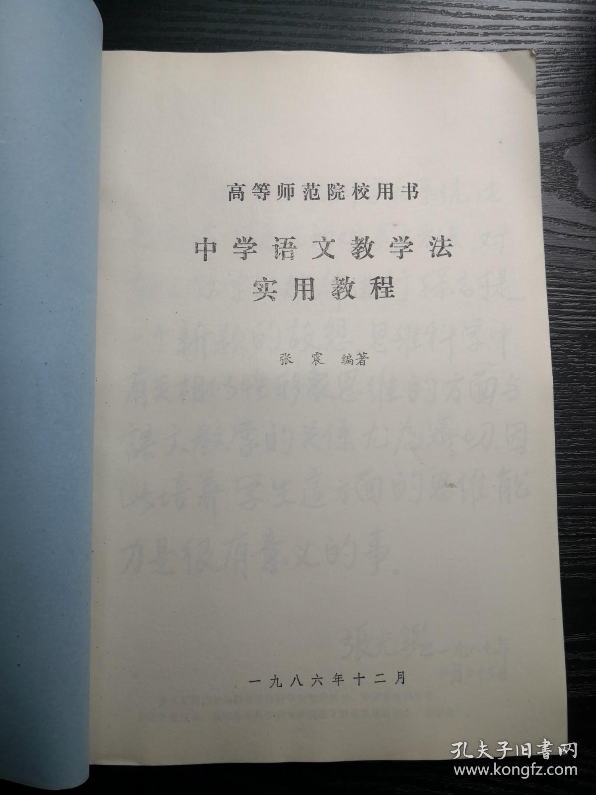 中学语文教学法实用教程 张震编著