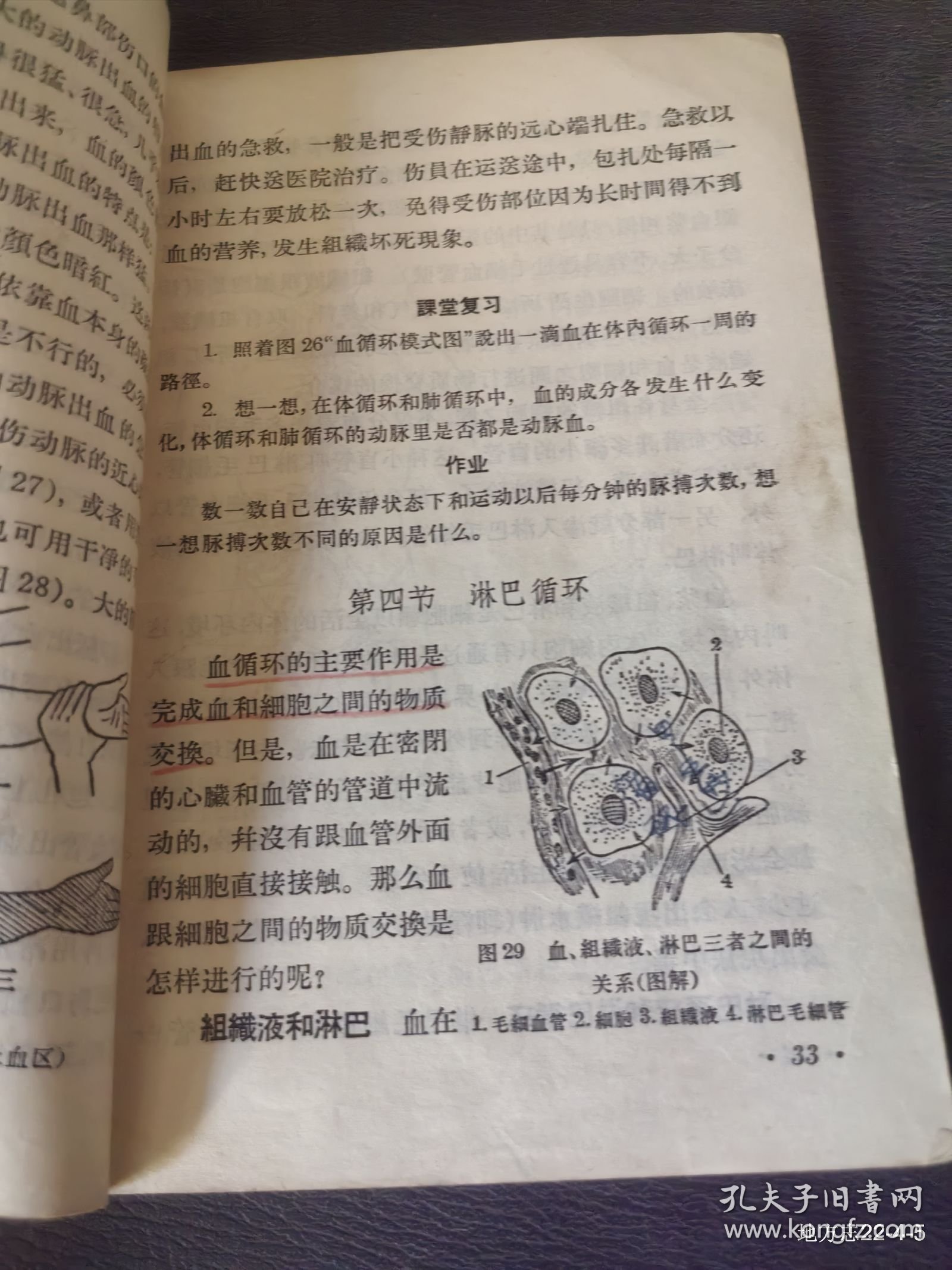 点击查看原图 初级中学课本:生理卫生