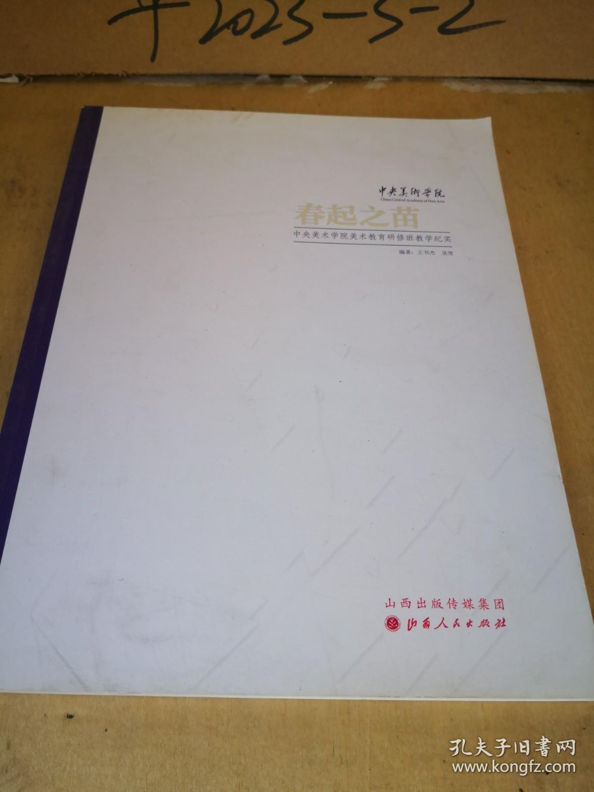 春起之苗:中央美术学院美术教育研修班教学纪实