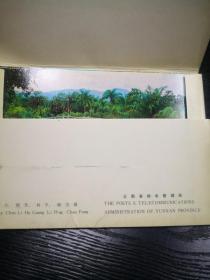 西双版纳 (1套10张)明信片
西双版纳 (一套10枚)
作者:  陈力 胡光 利平 朝芳 摄
出版社:  云南省邮电管理局