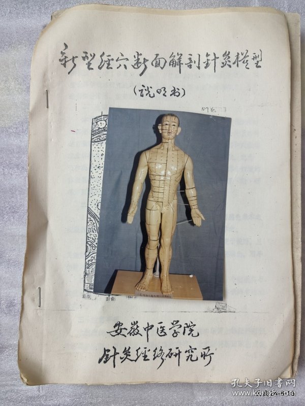 新型经穴断面解剖针灸模型说明书