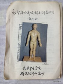 新型经穴断面解剖针灸模型说明书