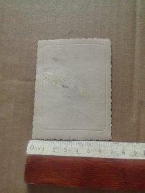 幸福家庭老照片：一家2口，手握红宝书