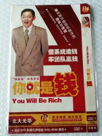 你就是钱 借系统造钱率团队赢钱 2DVD