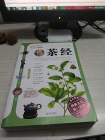 一次完全读懂茶经