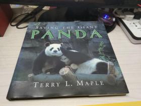 SAING THE GIANT PANDA  赛因大熊猫