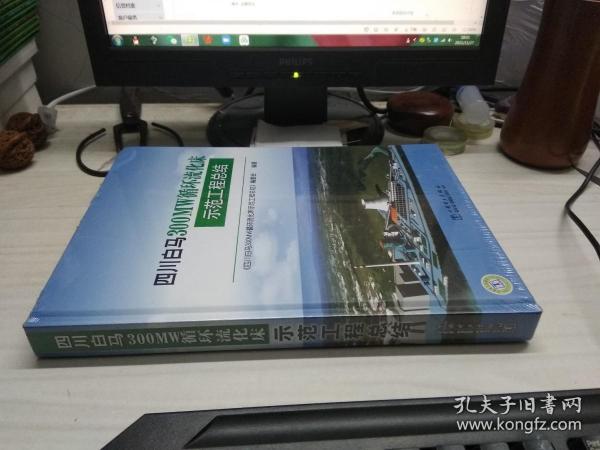 四川白马300MW循环流化床示范工程总结