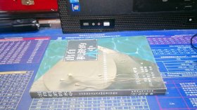 出自积淤的水中:以贝劳音乐文化为实例的音乐学新论。