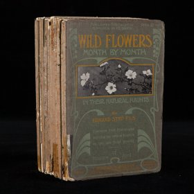 1900年左右《野花：逐月绽放图鉴》Wild Flowers Month by Month，十二卷全，英文原版，英国博物学家爱德华·斯特普（Edward Step）植物学著作，记录野外花卉的自然生长过程，内收插图几百余幅