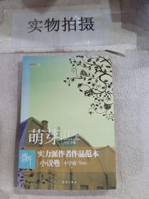 盛开萌芽11年实力派作者作品范本小说卷：小宇宙