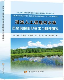 潜流人工湿地对水体重金属的阻控效果与机理研究